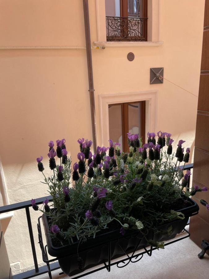 B & B Piazza Angioina LʼAquila Dış mekan fotoğraf